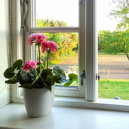 Vibrant Holiday In Bornholm With Terrace Apartamento *